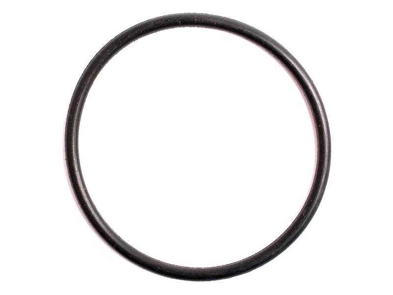 O\'ring 1/16\'\' x 1 1/4\'\' (BS026)