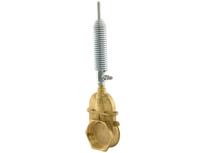 Gate valve with oildynamic ram with spring - Double threaded 6\'\'