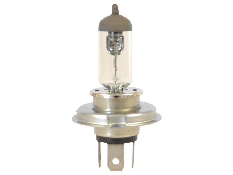 Light Bulb (Halogen) H4, 24V, 70W, P43t (Box 1 pc.)