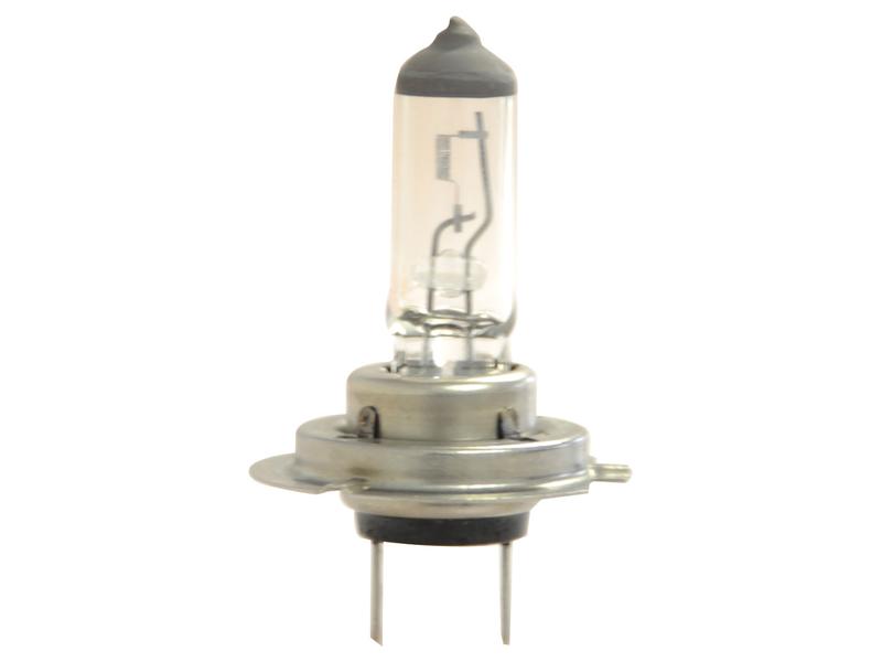 Light Bulb (Halogen) H7, 12V, 55W, PX26d (Box 1 pc.)