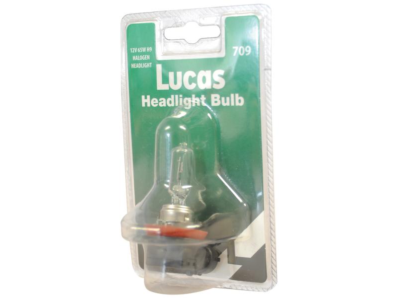 Light Bulb (Halogen) H9, 12V, 65W, PGJ19-5 (Clamshell 1 pc.)