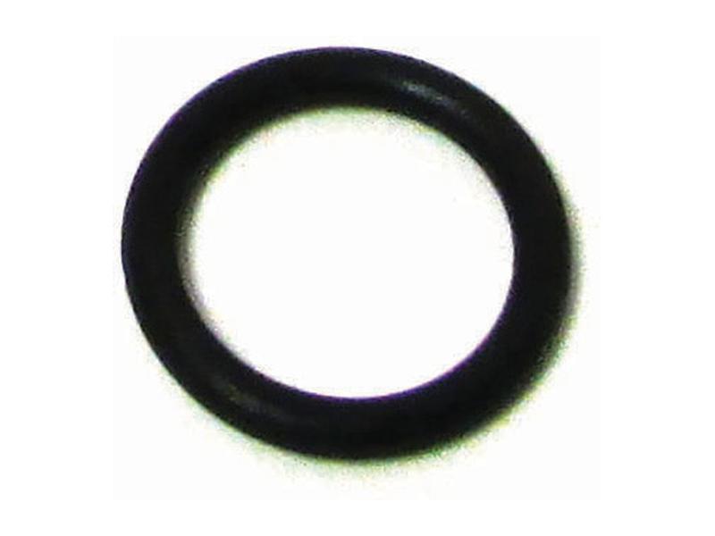 O-Ring (50001-211-0260)