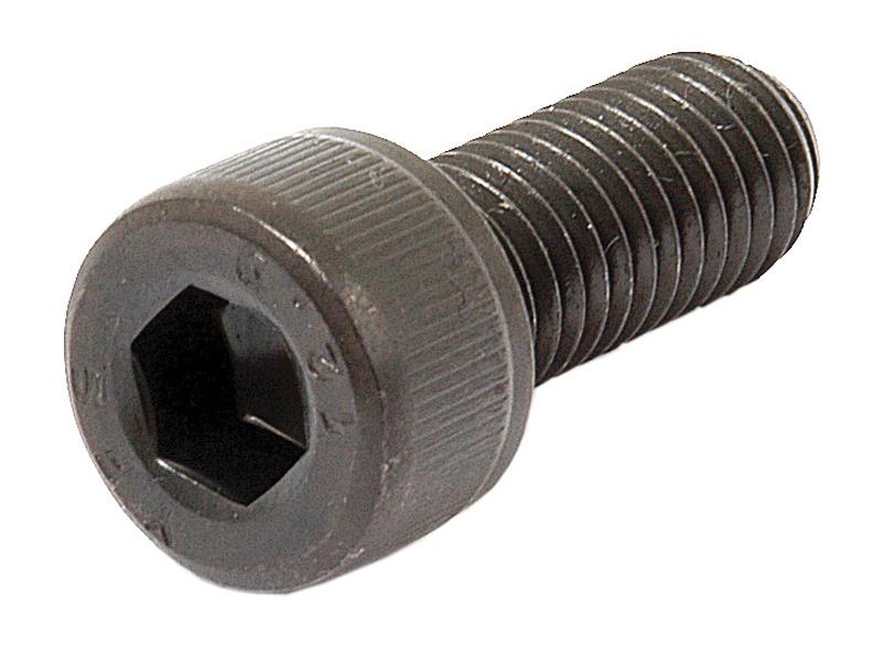 Cap Head Socket Screw, Size: M10x25mm (DIN 912)