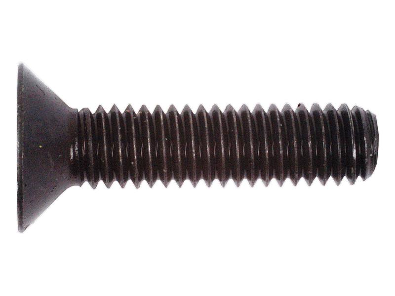 Metric Countersunk Hexagon Socket Screw,  M6x25mm (DIN 7991)
