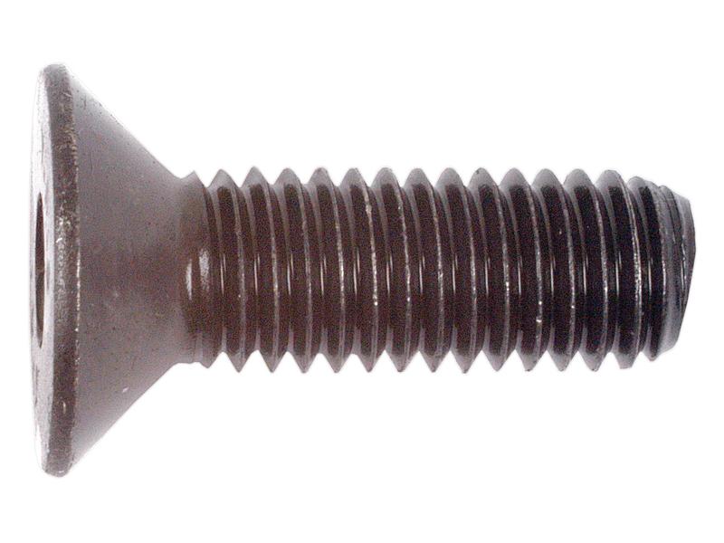 Metric Countersunk Hexagon Socket Screw,  M8x25mm (DIN 7991)