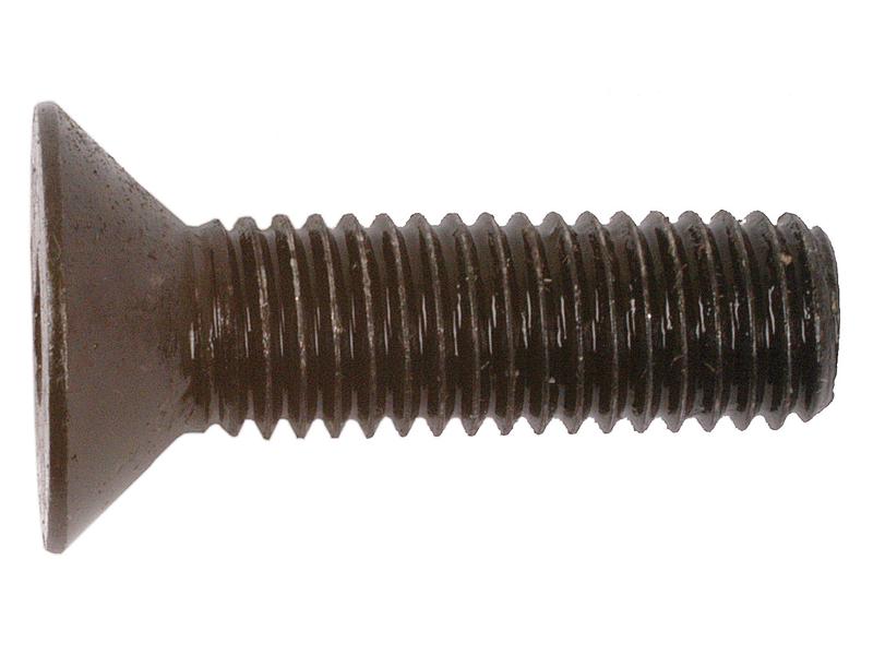 Umbrachobolt (undersænket), Størrelse: M10x35mm (DIN 7991)
