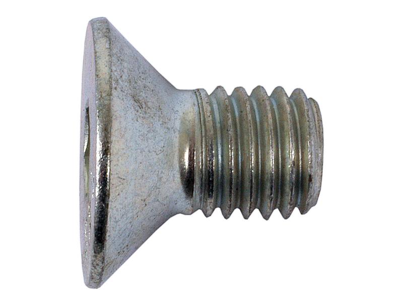 Metric Countersunk Hexagon Socket Screw,  M12x20mm (DIN 7991)