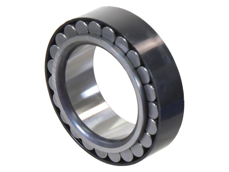 ZF Rodamiento Rodillo Imagen 1