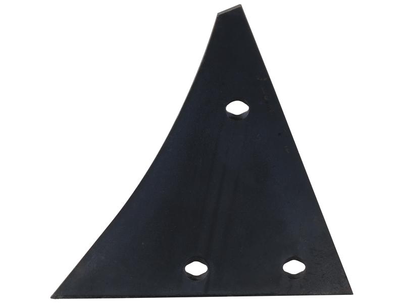 Shin Image 1