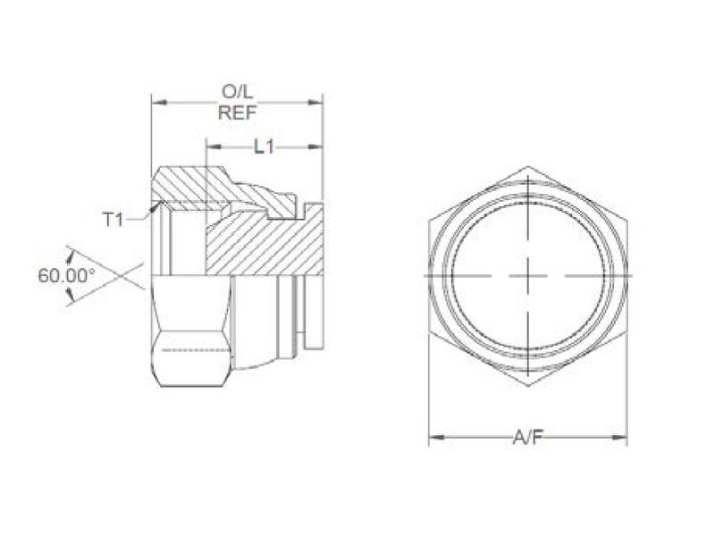 Hydraulic Adaptor 1'' BSP Swivel Blanking Cap