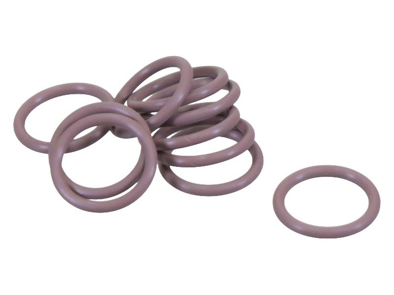 O-Ring Bild 1