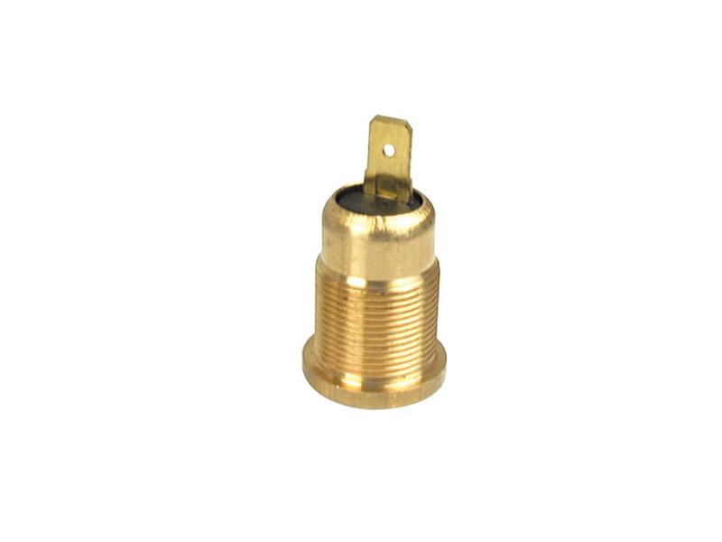 Beacon Fixing Pin (Screw Type)