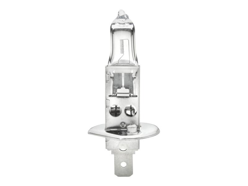 Light Bulb (Halogen) H1, 12V, 55W, P14.5s (Box 1 pc.)