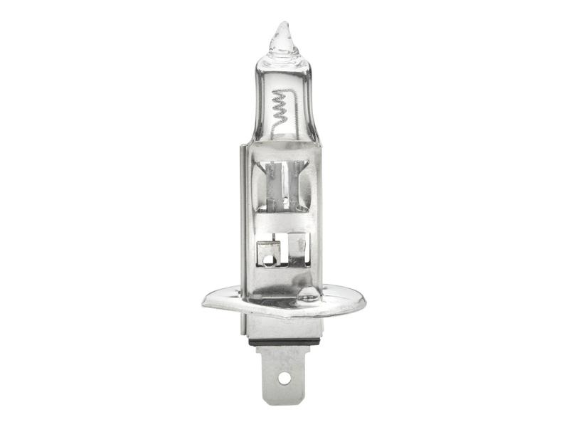 Light Bulb (Halogen) H1, 24V, 70W, P14.5s (Box 1 pc.)