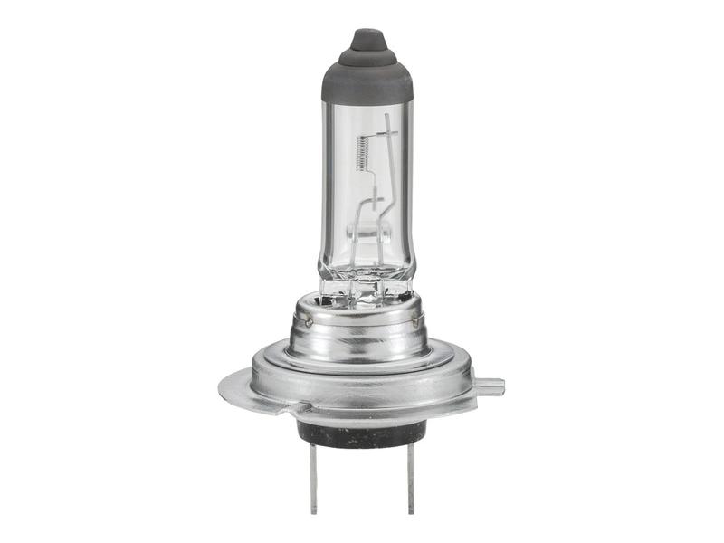 Light Bulb (Halogen) H7, 12V, 55W, PX26d (Box 1 pc.)