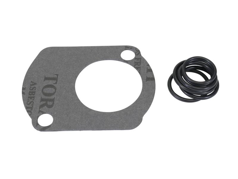 Hydraulikpumpeneinbau O-Ring-Kit Bild 1