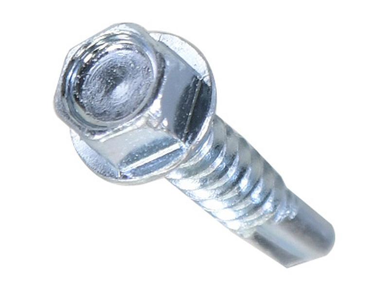 HexH (TEK) Screw, 5.5x25mm (DIN 7504K) Image 1