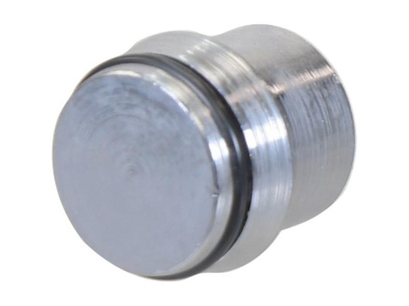 Sparex End Plug with O-Ring 25S Image 1
