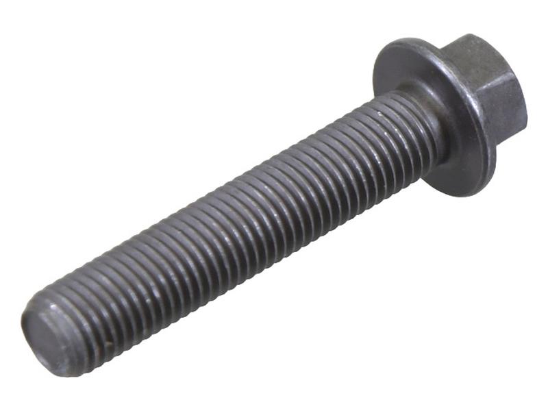 Conjunto Tornillo Y Tuerca Imagen 1