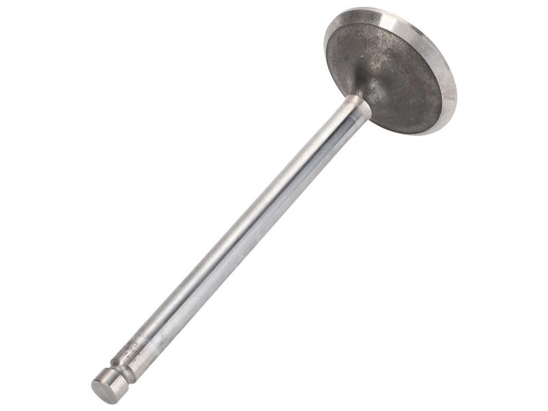 Exhaust Valve Image 1