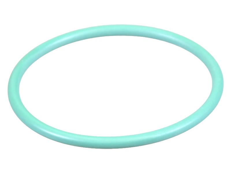 O Ring Image 1