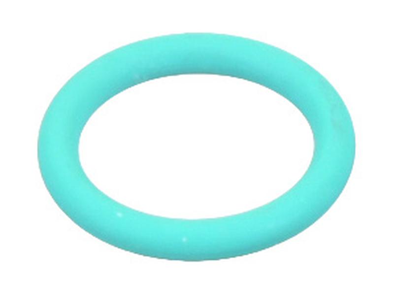 O-Ring Billede 1