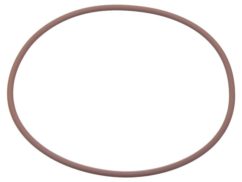 O-ring [BRANDSAVE] Bild 1