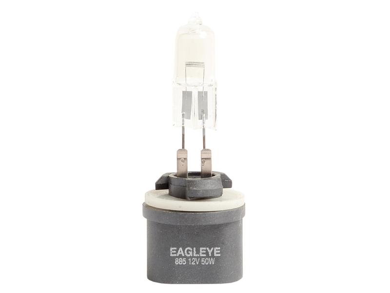 Light Bulb (Halogen) 12V, 50W, PG13 (Box 1 pc.)