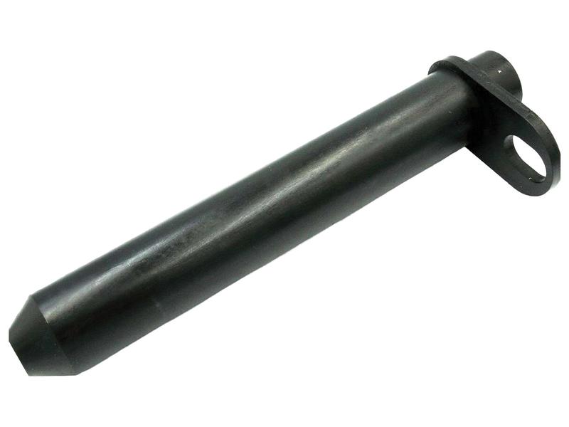 Pivot Pin, 300 x 50mm Image 1