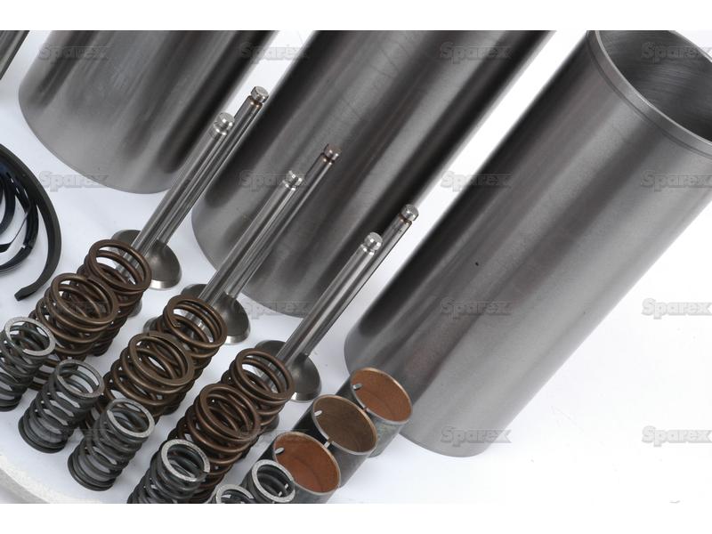 Engine Overhaul Kit with Valve Train (Semi Finished) - Sparex Part S.40397