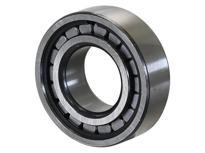 Sparex Cylindrical Roller Bearing (431935-C)