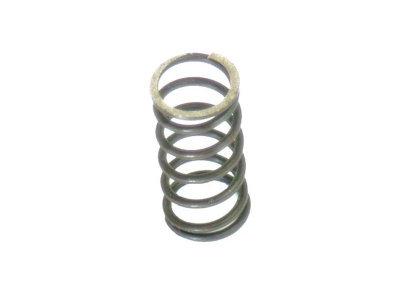 Plunger Spring Image 1