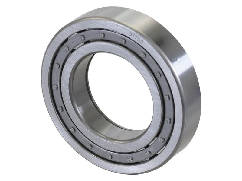 Sparex Cylindrical Roller Bearing (NUP211)