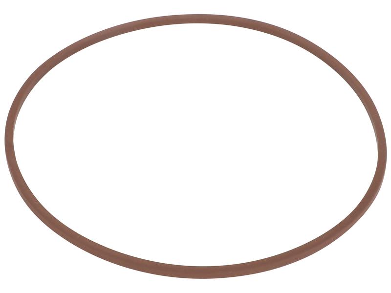 O-ring Bild 1