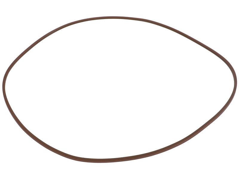 O-ring Bild 1