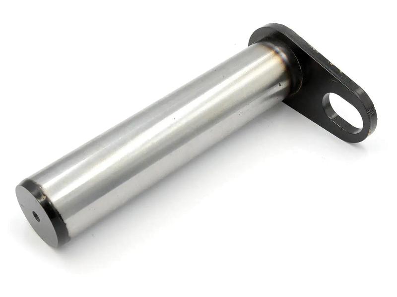 Pivot Pin, 163 x 45mm Image 1