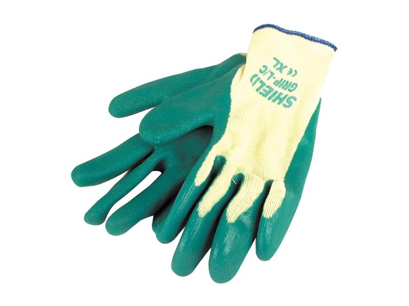 Latex Gloves - 10/XL