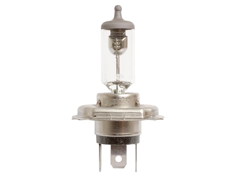 Light Bulb (Halogen) H4, 12V, 55W, P43t (Box 1 pc.)