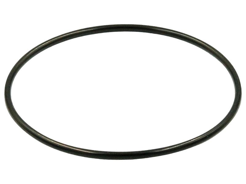 O-Ring Bild 1