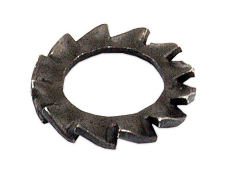 Arandela Externa de Seguridad (DIN or Standard No. DIN 6798A) 1/4\'\' Imagen 1