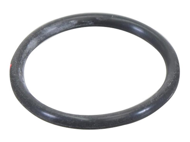 Water Pump Gasket Image 1