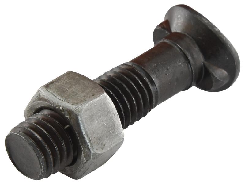 Oval Head Double Nib Bolt With Nut (TO2E) - M12x50mm, Tensile strength 10.9 (25 pcs. Box)