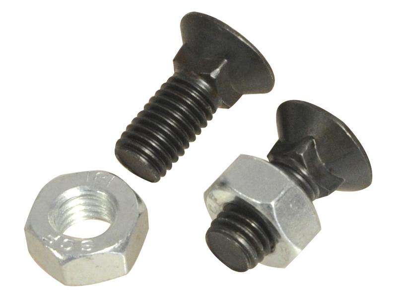 Round Countersunk Square Hex Bolt & Nut (TFCC) - M10 x 25mm, Tensile strength 8.8 Image 1