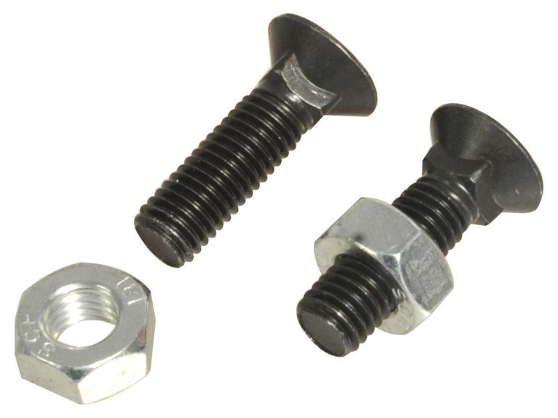 Round Countersunk Square Hex Bolt & Nut (TFCC) - M10 x 35mm, Tensile strength 8.8