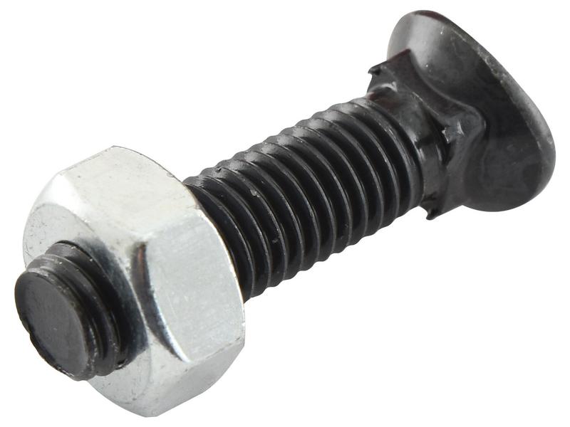 Oval Head Bolt Square Collar With Nut (TOCC) - M12 x 48mm, Tensile strength 8.8 (25 pcs. Box)