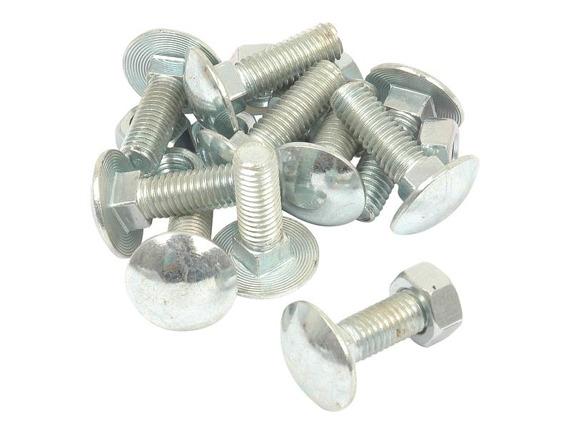 Metric Carriage Bolt and Nut, M8x25mm (DIN 601/934)