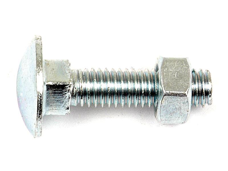 Metric Carriage Bolt and Nut, M8x40mm (DIN 601/934)