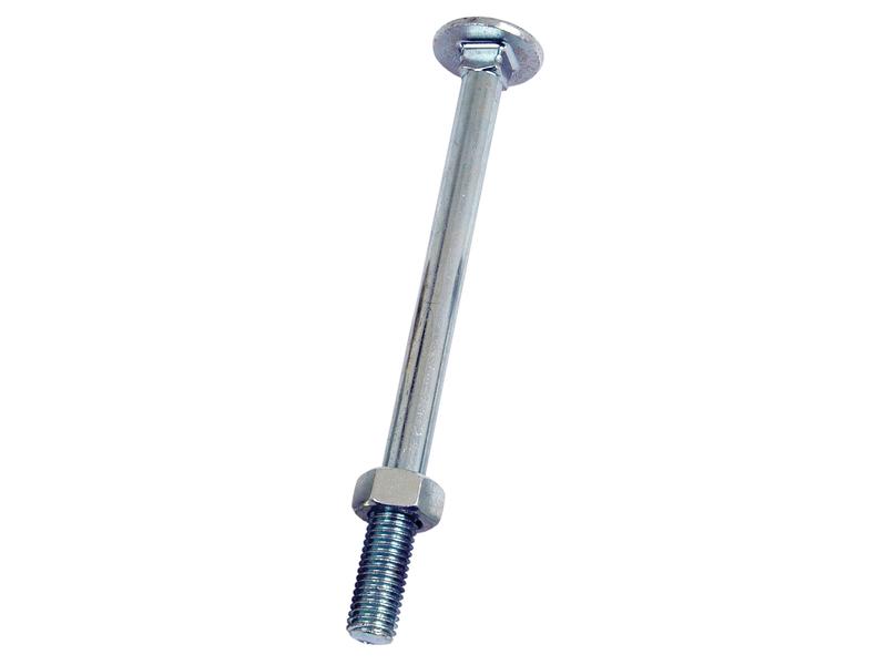 Metric Carriage Bolt and Nut, M10x160mm (DIN 601/934)