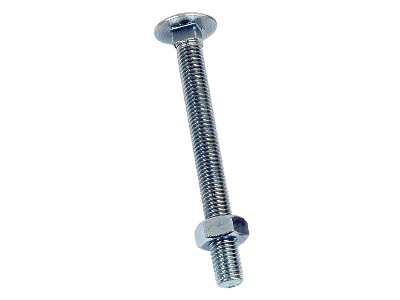 Metric Carriage Bolt and Nut, M10x200mm (DIN 603/555) Image 1
