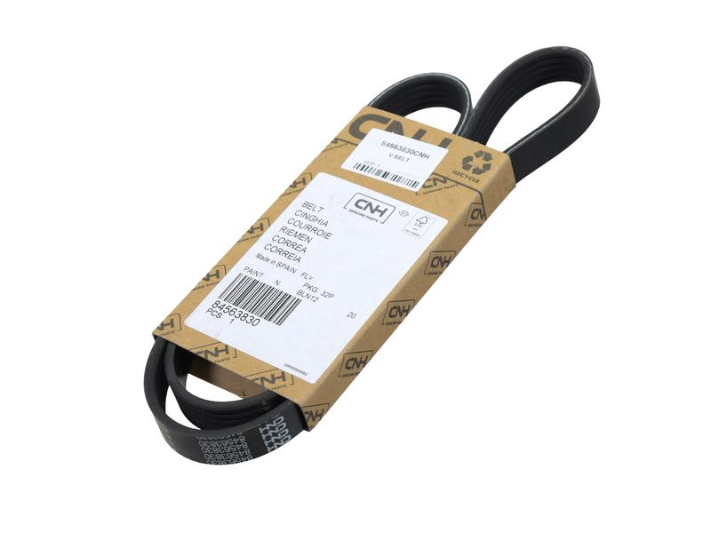 Cinghia PK - Cinghia N° Immagine 1